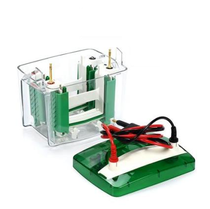 PAG4 預制膠垂直電泳槽 EPT-VPG04